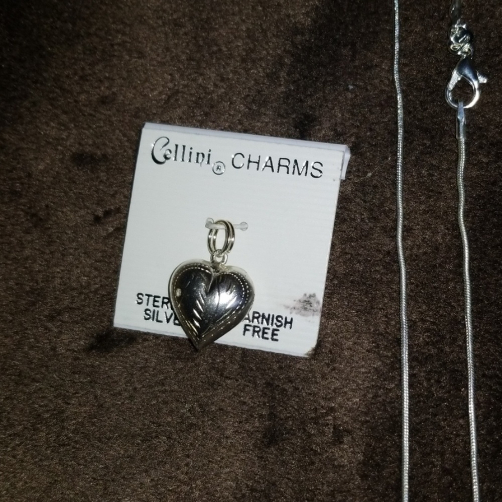 Sterling Silver Chain And Charm.